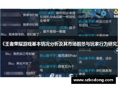 《王者荣耀游戏基本情况分析及其市场前景与玩家行为研究》